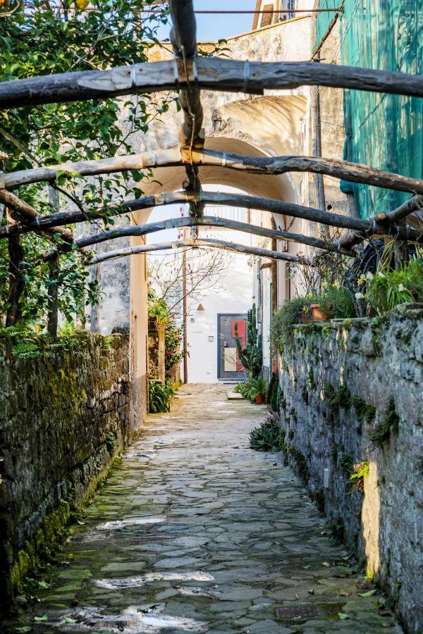 Villa Mirasole House Massa Lubrense Exterior foto